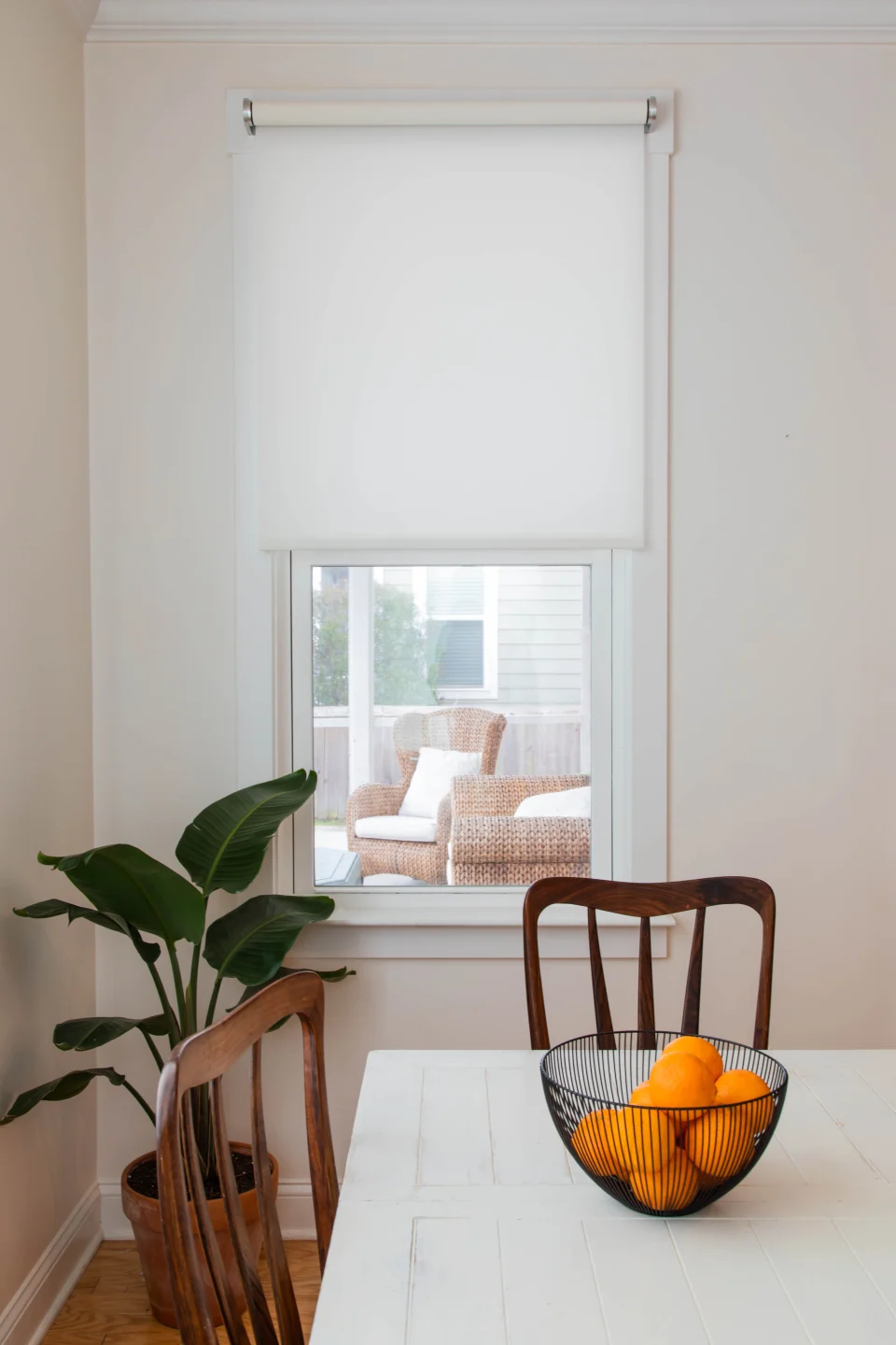 Savant lifestyle photo